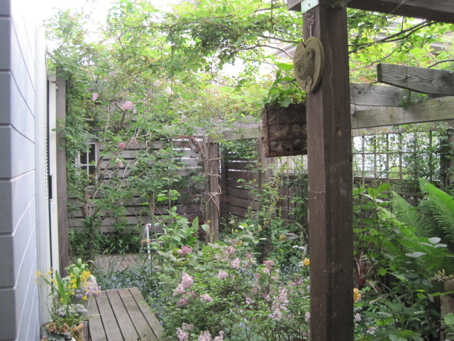 backyard,(木の家)