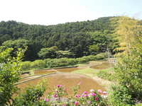 お客様宅近くに広がる棚田の風景。手前に見える野バラ？と山並みの見える奥行感には、とても心が癒されます。