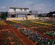 建物の南側には、ヒバ材の木塀を製作しました。#神奈川県内のヒバ材での家造りの工務店